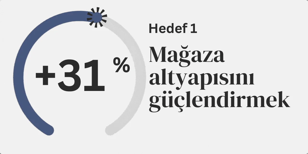 Alesta proje görseli 1