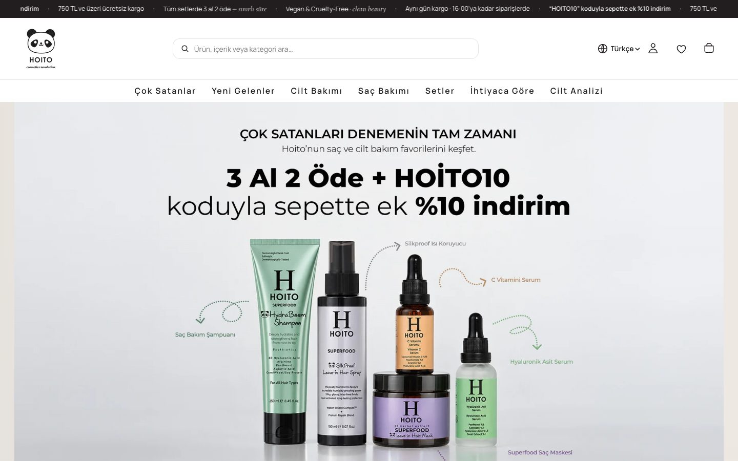 Hoito project